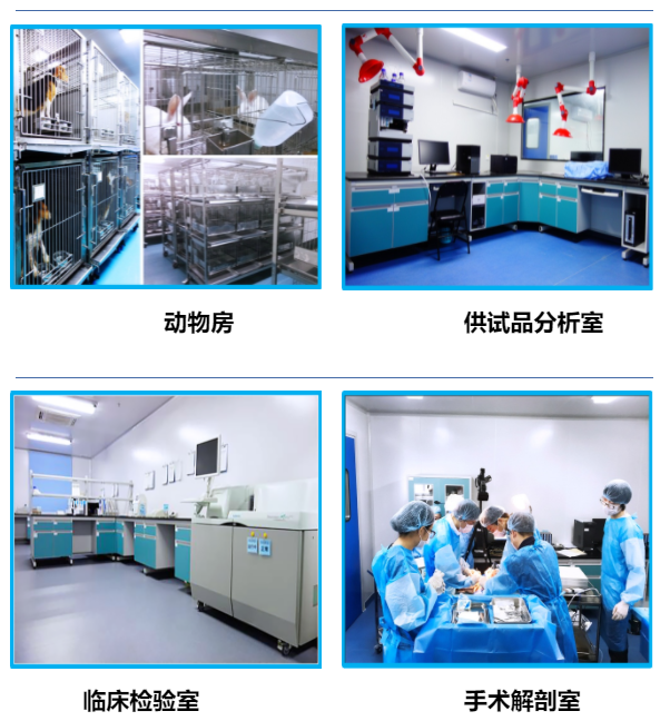 beat��365(�й�)Ψһ�ٷ���վ