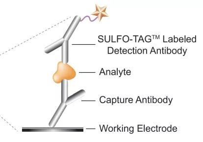 beat��365(�й�)Ψһ�ٷ���վ