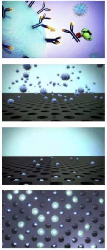 beat��365(�й�)Ψһ�ٷ���վ