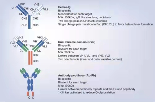 beat��365(�й�)Ψһ�ٷ���վ
