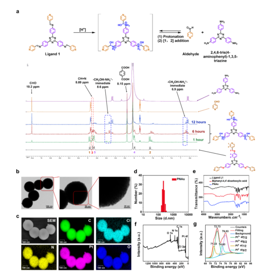beat��365(�й�)Ψһ�ٷ���վ