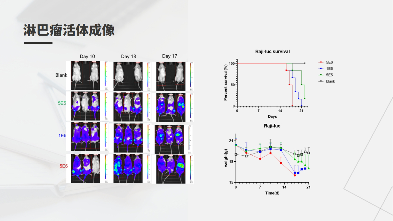 beat��365(�й�)Ψһ�ٷ���վ