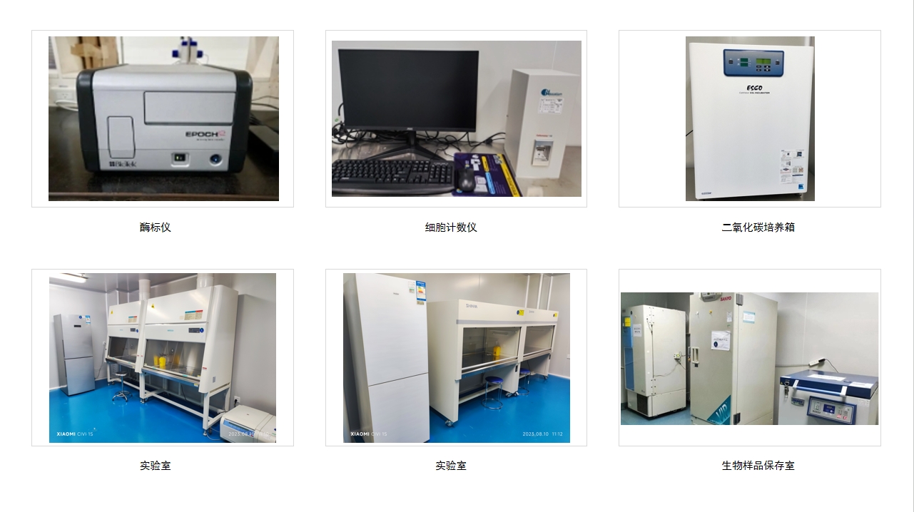 beat��365(�й�)Ψһ�ٷ���վ