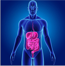 �ٴ�������Ӫ����������ϵͳ����������ϵͳ����������/���Լ������ǿ�/������ؼ�������ϵͳ������ѪҺ����Ѫ�Լ�����Ƥ����������������и�������