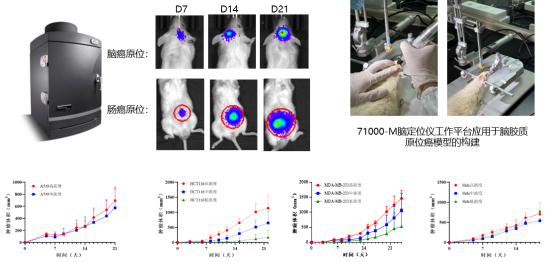 beat¡¤365(Öйú)Ψһ¹Ù·½ÍøÕ¾