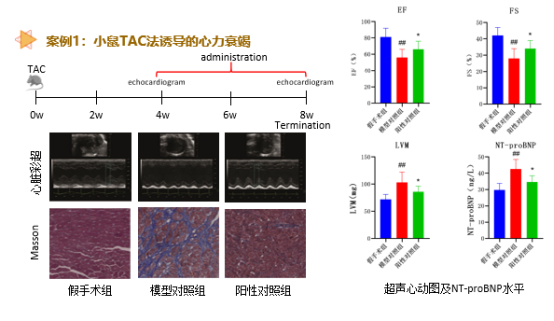 beat¡¤365(Öйú)Ψһ¹Ù·½ÍøÕ¾