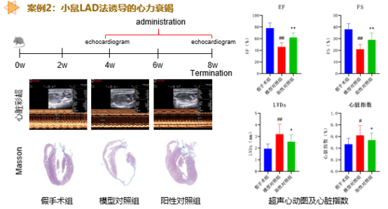 beat¡¤365(Öйú)Ψһ¹Ù·½ÍøÕ¾