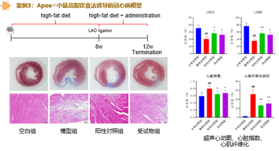 beat¡¤365(Öйú)Ψһ¹Ù·½ÍøÕ¾