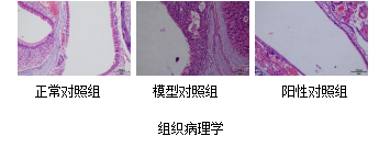 beat¡¤365(Öйú)Ψһ¹Ù·½ÍøÕ¾