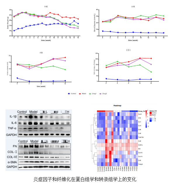 beat¡¤365(Öйú)Ψһ¹Ù·½ÍøÕ¾