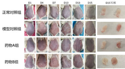 beat¡¤365(Öйú)Ψһ¹Ù·½ÍøÕ¾